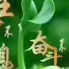 独家友记忆的头像