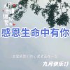 恩门敞开.的头像