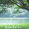 微风细雨，忙，退。的头像
