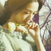 Katherine的头像