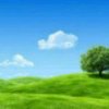 草原蓝天【暂退】的头像