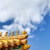 小华的头像