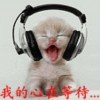河南漯河的头像