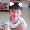 梅的头像