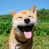 珍惜眼前人的头像