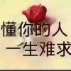 家合万事兴退出的头像