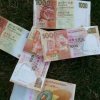 逗你樂的头像