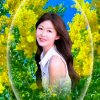 局的头像