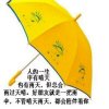 小kA025927862g的头像