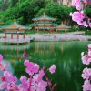龙凤