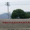 杨门主唱雨中浮萍的头像