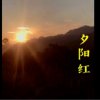 夕阳红的头像