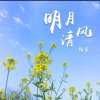 金兰的头像