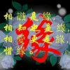 Anny的头像