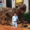 ZHENGJI的头像