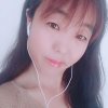 雨碟的头像