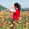 nature的头像