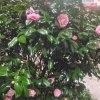 70后的头像