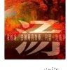 艳阳高照的头像
