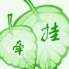 冬天的太阳的头像