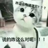 余生不打扰的头像
