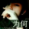随缘的头像