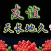 A开心就好的头像
