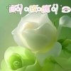 白᭄ོꦿོ玫ོꦿ瑰᭄ོꦿོ的头像