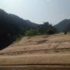 你猜的头像