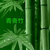 ༺❀青青竹❀༻的头像