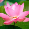 小汤的头像