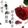 因偽爱你所苡在乎的头像
