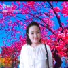 素颜倾笑的头像
