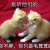 哆来咪的头像