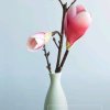 芬芳的头像