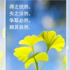 ★天道酬勤★的头像