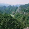 林哥的头像