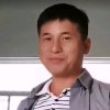 秦的头像