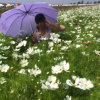 花雨的头像