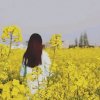 太阳花的头像