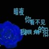 跑调走音，情伤难疗，的头像