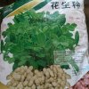努力 奋斗的头像