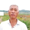 徐大信的头像