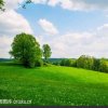 蓝天的头像