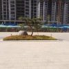 我本善良的头像