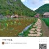 力源的头像