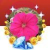 春暖花开（gAO）的头像