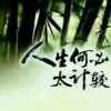 勇敢的飞翔的头像