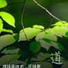 一切随缘的头像