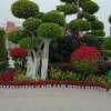 真诚的头像